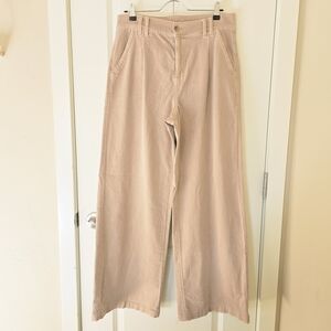 American Eagle Outfitters Tan Stretch Pants